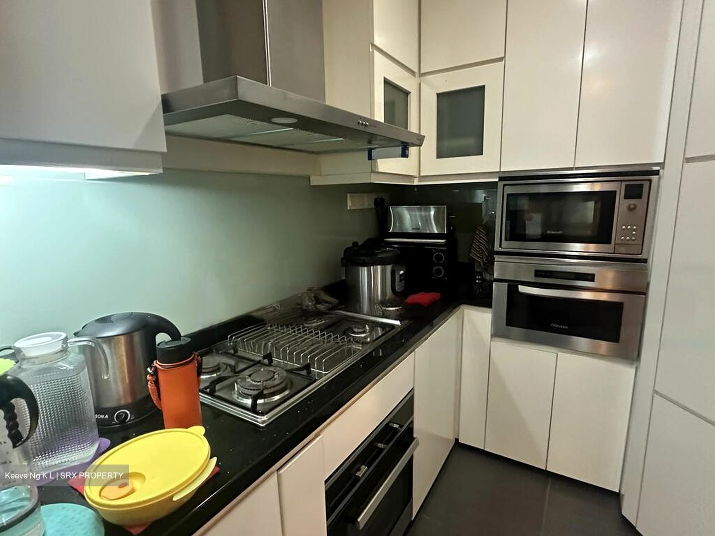 Holland Hill Park (D10), Condominium #464248671